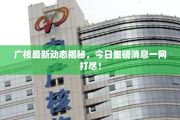 广核最新动态揭秘，今日重磅消息一网打尽！