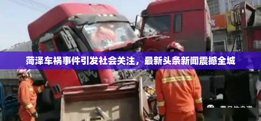 菏泽车祸事件引发社会关注，最新头条新闻震撼全城