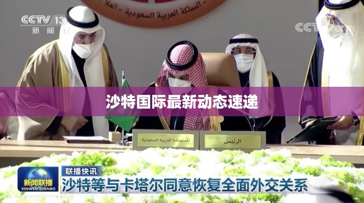 沙特国际最新动态速递