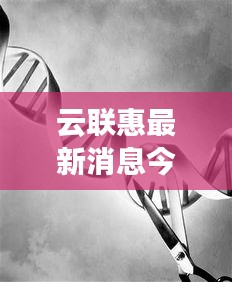 云联惠最新消息今日揭秘，最新动态与进展引人关注