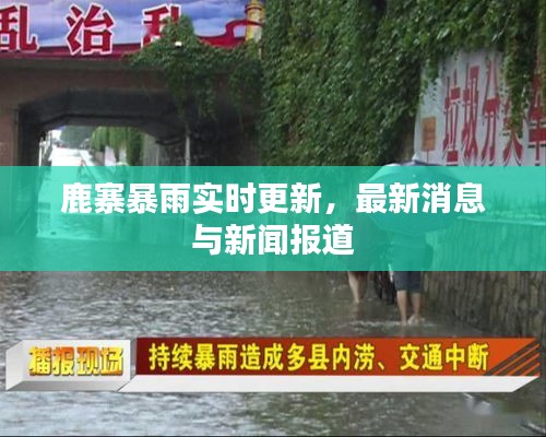 鹿寨暴雨实时更新，最新消息与新闻报道