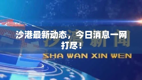 沙港最新动态，今日消息一网打尽！