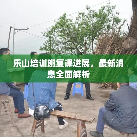 乐山培训班复课进展，最新消息全面解析