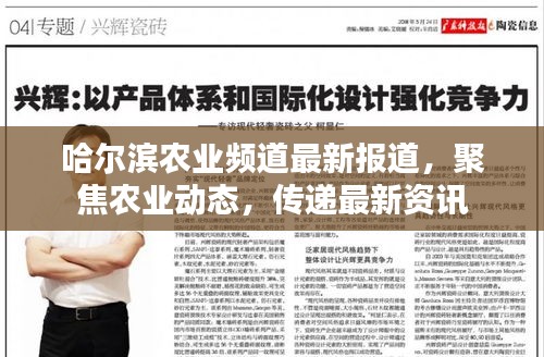 哈尔滨农业频道最新报道，聚焦农业动态，传递最新资讯