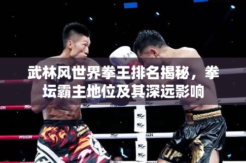 武林风世界拳王排名揭秘，拳坛霸主地位及其深远影响