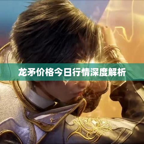 龙矛价格今日行情深度解析