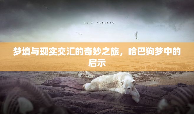 梦境与现实交汇的奇妙之旅，哈巴狗梦中的启示