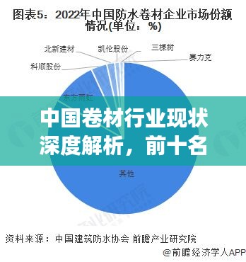 中国卷材行业现状深度解析，前十名企业排名及竞争力探讨