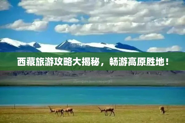 大事夸张 第2页