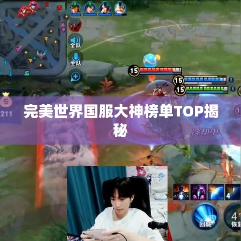 完美世界国服大神榜单TOP揭秘