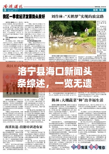 洛宁县海口新闻头条综述，一览无遗的热点新闻速递