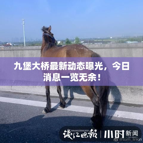 九堡大桥最新动态曝光，今日消息一览无余！