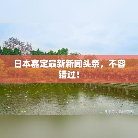 日本嘉定最新新闻头条，不容错过！