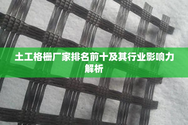 土工格栅厂家排名前十及其行业影响力解析