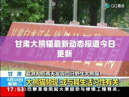 甘肃大熊猫最新动态报道今日更新