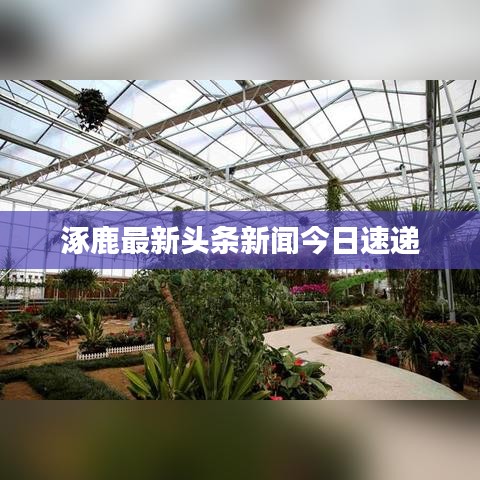 涿鹿最新头条新闻今日速递