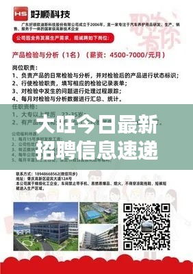 大旺今日最新招聘信息速递