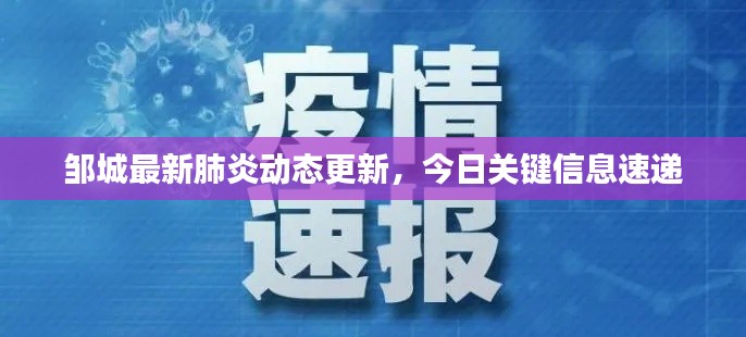 邹城最新肺炎动态更新，今日关键信息速递