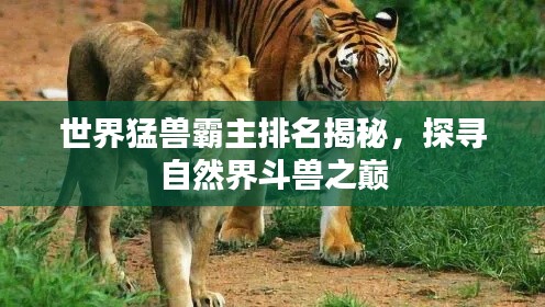 世界猛兽霸主排名揭秘，探寻自然界斗兽之巅