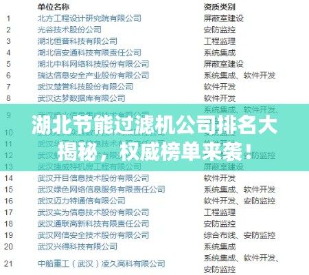 湖北节能过滤机公司排名大揭秘，权威榜单来袭！