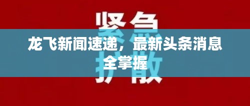 龙飞新闻速递，最新头条消息全掌握