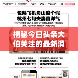 揭秘今日头条大伯关注的最新消息视频速递