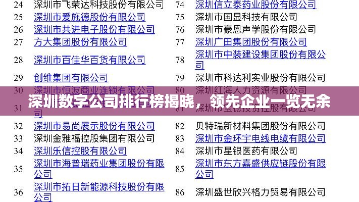 深圳数字公司排行榜揭晓，领先企业一览无余