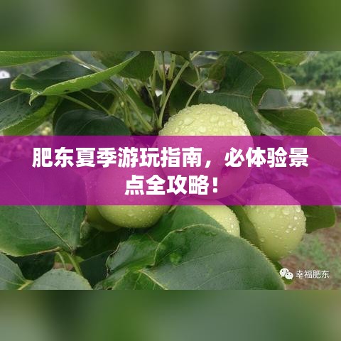 肥东夏季游玩指南，必体验景点全攻略！