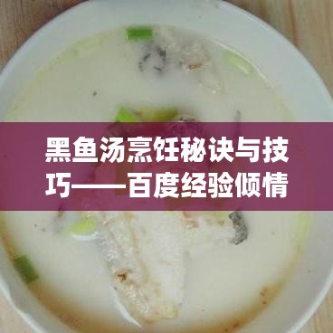 黑鱼汤烹饪秘诀与技巧——百度经验倾情分享