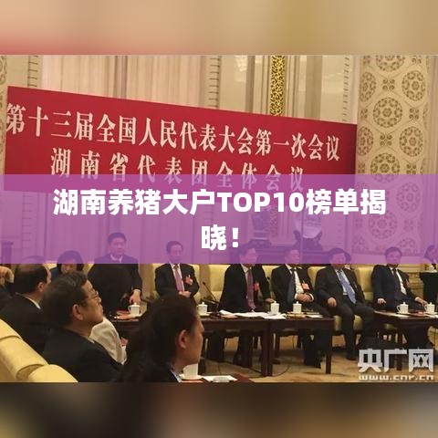湖南养猪大户TOP10榜单揭晓！