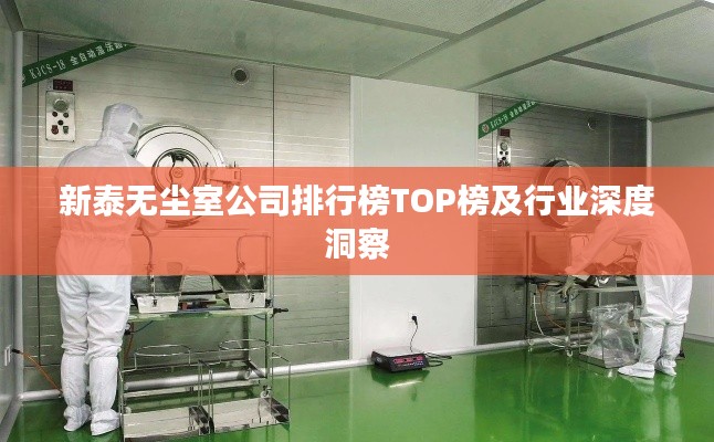新泰无尘室公司排行榜TOP榜及行业深度洞察