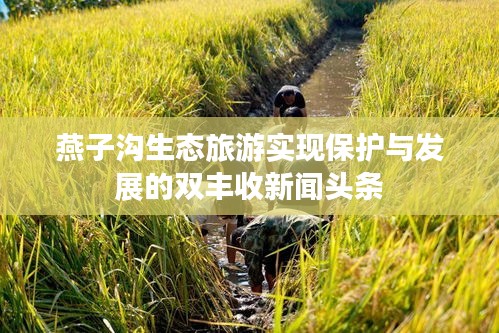 燕子沟生态旅游实现保护与发展的双丰收新闻头条