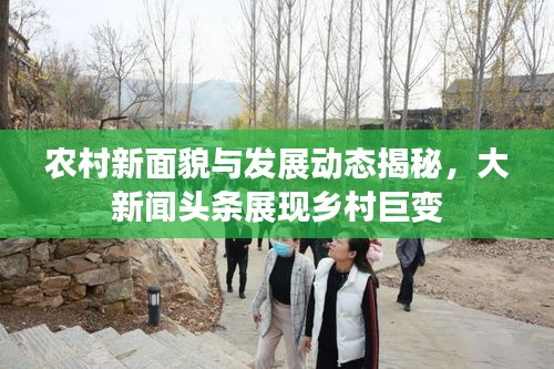 农村新面貌与发展动态揭秘，大新闻头条展现乡村巨变