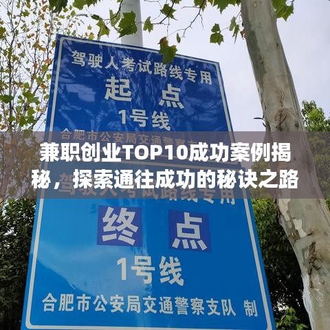 兼职创业TOP10成功案例揭秘，探索通往成功的秘诀之路