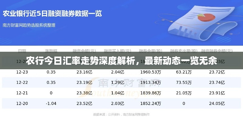 农行今日汇率走势深度解析，最新动态一览无余