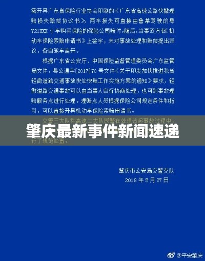 肇庆最新事件新闻速递