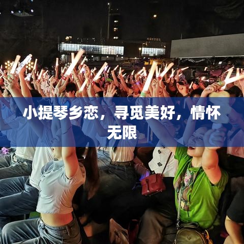 小提琴乡恋，寻觅美好，情怀无限