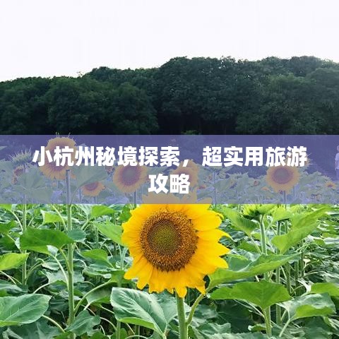 小杭州秘境探索，超实用旅游攻略