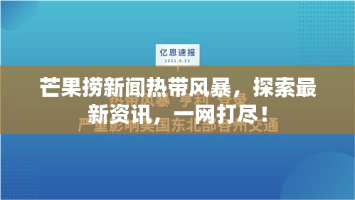 芒果捞新闻热带风暴，探索最新资讯，一网打尽！