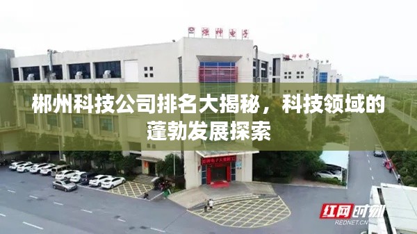 郴州科技公司排名大揭秘，科技领域的蓬勃发展探索