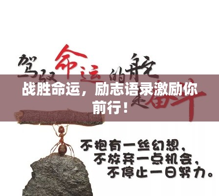 战胜命运，励志语录激励你前行！