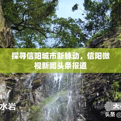 探寻信阳城市新脉动，信阳微视新闻头条报道