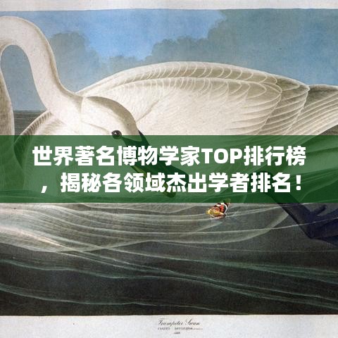 正声雅音 第2页