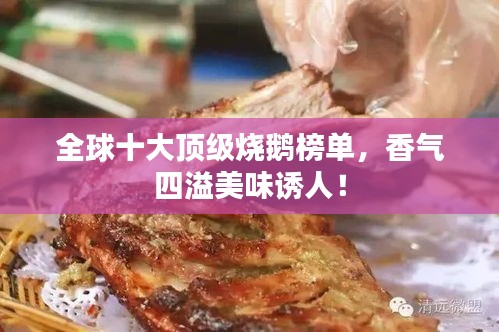 全球十大顶级烧鹅榜单，香气四溢美味诱人！