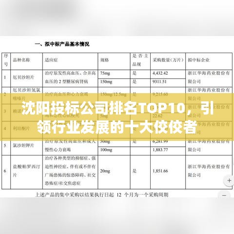 沈阳投标公司排名TOP10，引领行业发展的十大佼佼者