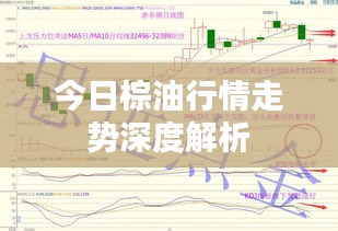 今日棕油行情走势深度解析