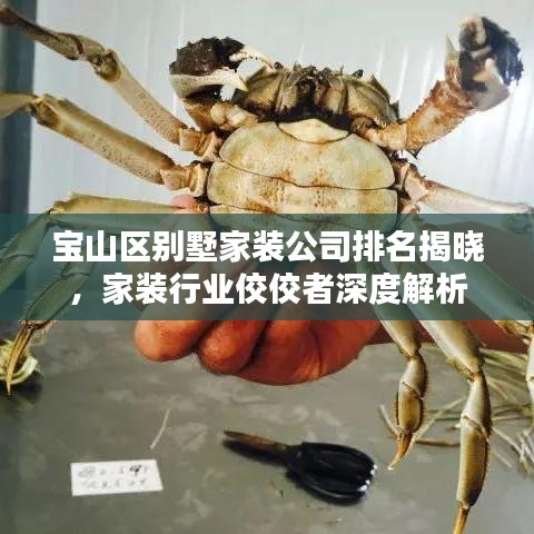民贵君轻 第2页