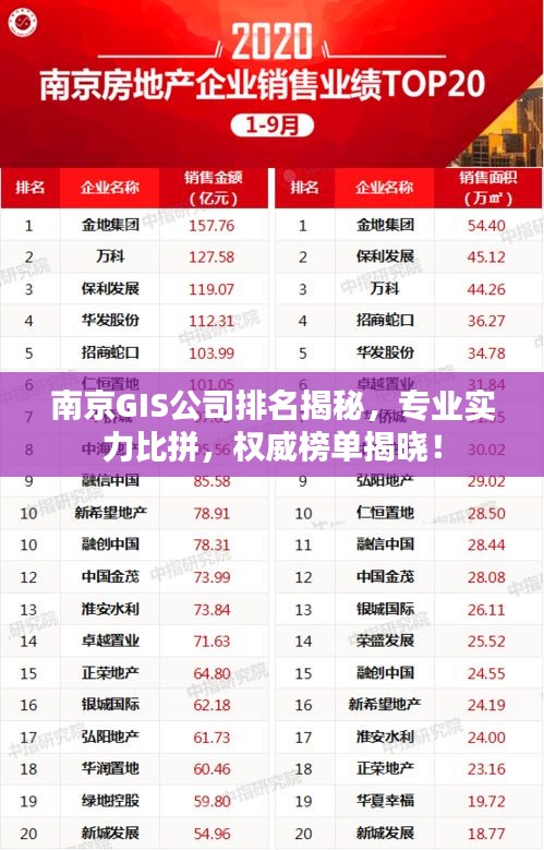 南京GIS公司排名揭秘，专业实力比拼，权威榜单揭晓！