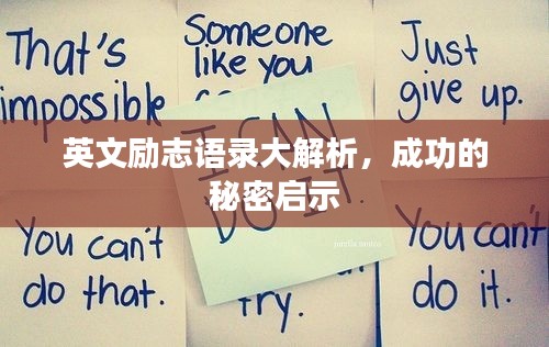 英文励志语录大解析，成功的秘密启示