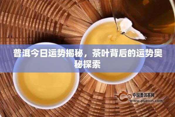 普洱今日运势揭秘，茶叶背后的运势奥秘探索